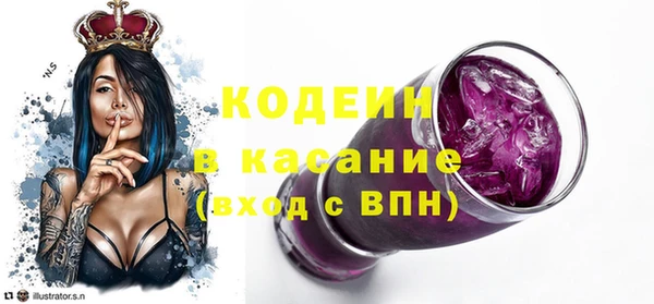 хмурый Алексин