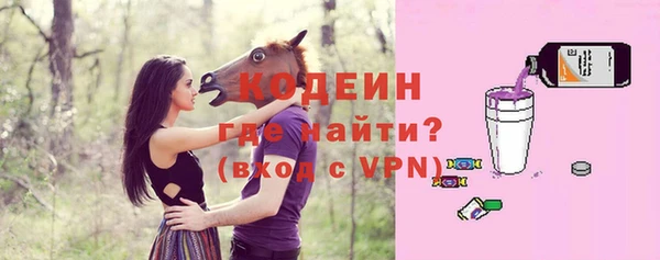 индика Абинск