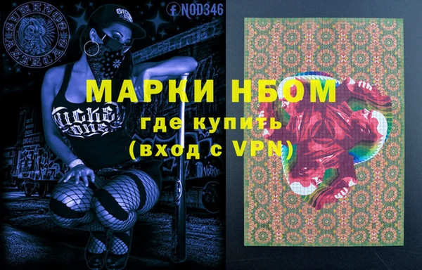 хмурый Алексин