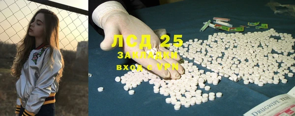 хмурый Алексин
