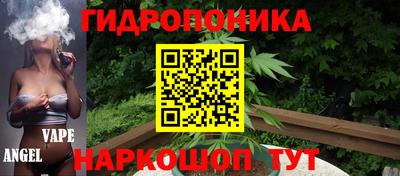 мескалин Кингисепп