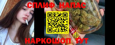 гашик Гатчина