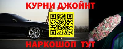 гашик Гатчина